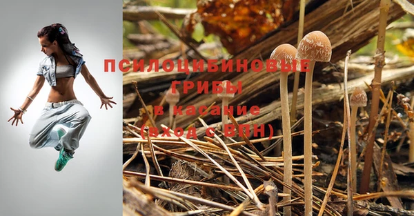 гашик Баксан
