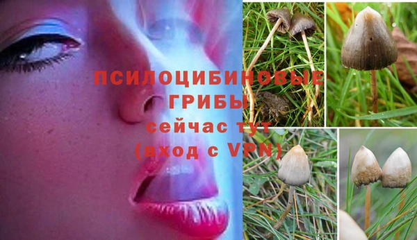 МДПВ Балахна
