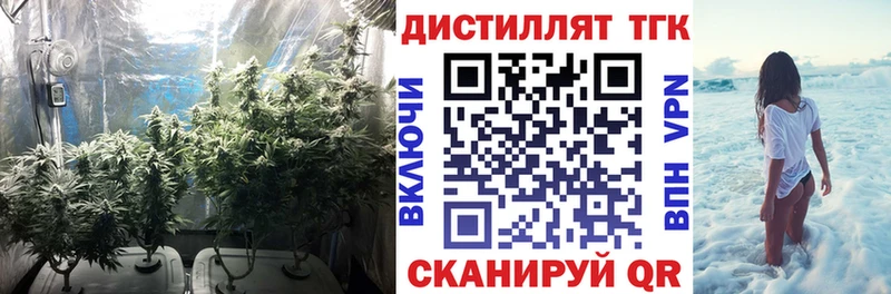 магазин продажи   Лениногорск  Дистиллят ТГК вейп 