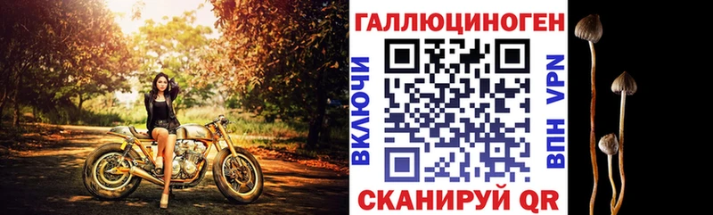 что такое наркотик  blacksprut ССЫЛКА  Галлюциногенные грибы прущие грибы  Лениногорск 